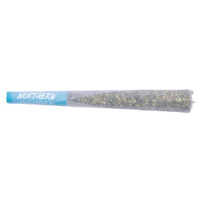 Side view of a rolled cone with a blue tip showing "Northern" text, labeled The Collective Infused PR 1 x 1 g, on a white background.