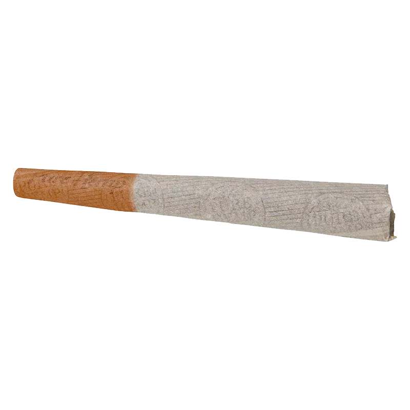 Angled close-up of a rolled joint labeled CBG Infused OG Haze PR 3 x 0.5 g showing a brown filter tip and textured gray paper.
