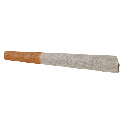 Angled close-up of a rolled joint labeled CBG Infused OG Haze PR 3 x 0.5 g showing a brown filter tip and textured gray paper.