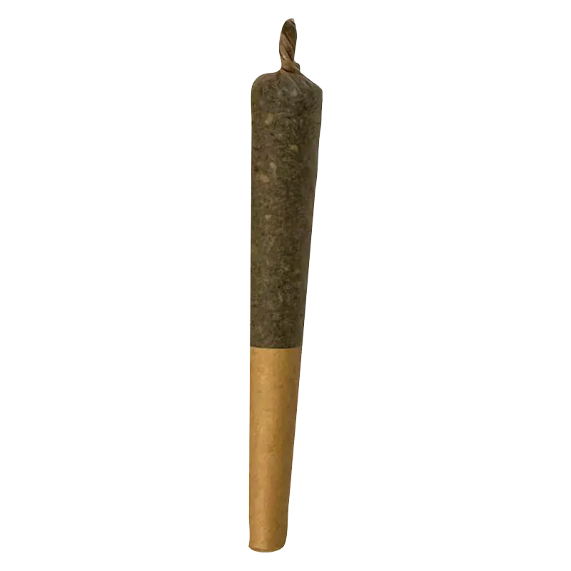 Vertical studio shot of a single Key Lime Slice Liquid Diamond Infused PR 1 x 1 g pre-roll against a white background.