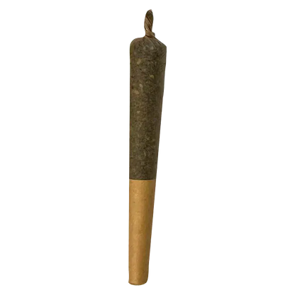 Vertical studio shot of a single Key Lime Slice Liquid Diamond Infused PR 1 x 1 g pre-roll against a white background.