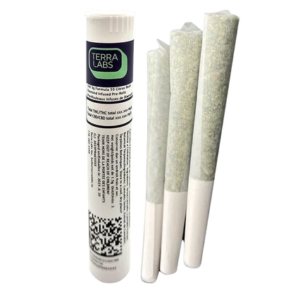 Angled front view of a Terra Labs Formula 55 Citrus Rush Diamond Infused PR 3 x 0.5 g tube standing next to three pre-rolls on a white background.