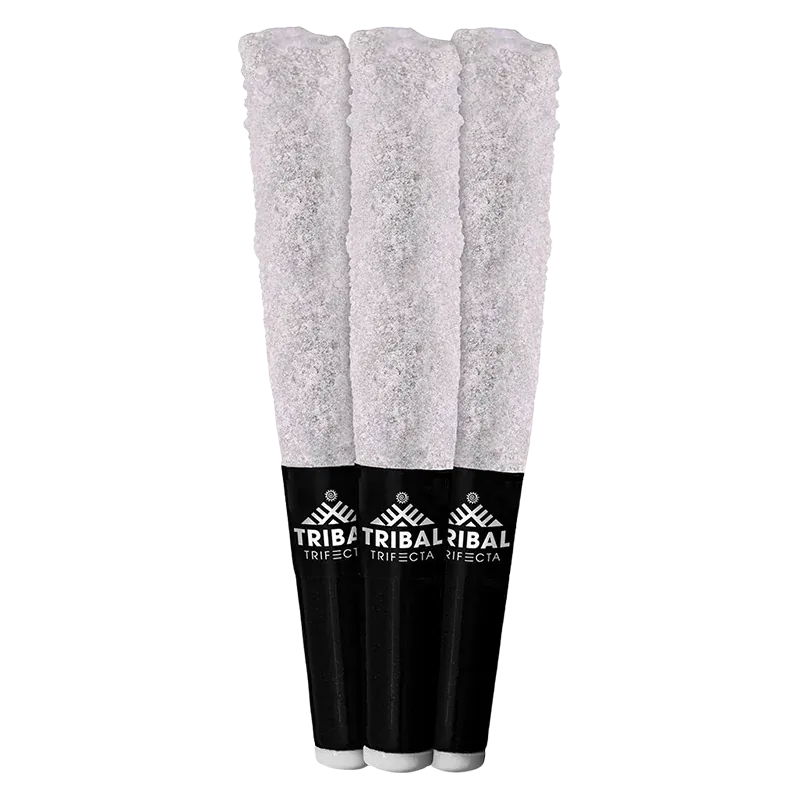 Three-quarter view of three Porto Leche Trifecta Infused PR 3 x 0.6 g pre-rolls with white tips and black branded filters standing side by side.