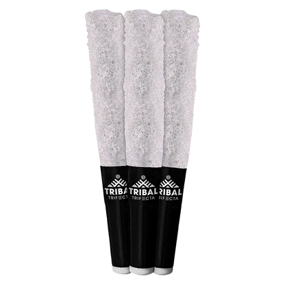 Three-quarter view of three Porto Leche Trifecta Infused PR 3 x 0.6 g pre-rolls with white tips and black branded filters standing side by side.