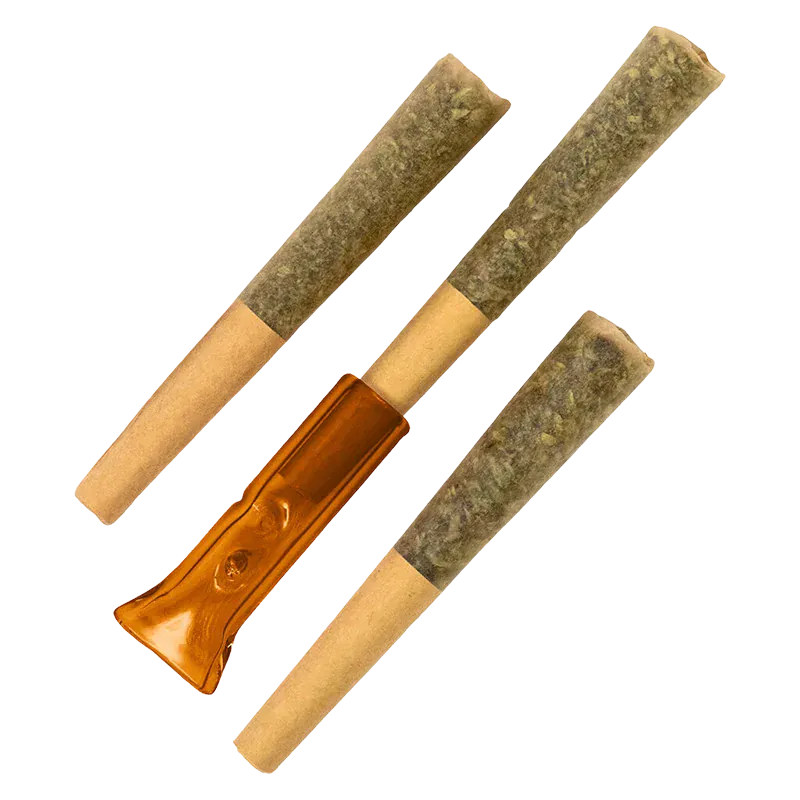 Top-down view of three pre-rolls and an amber rosin puller, labeled Gold Face Hash Rosin Infused PR 3 x 0.5 g.