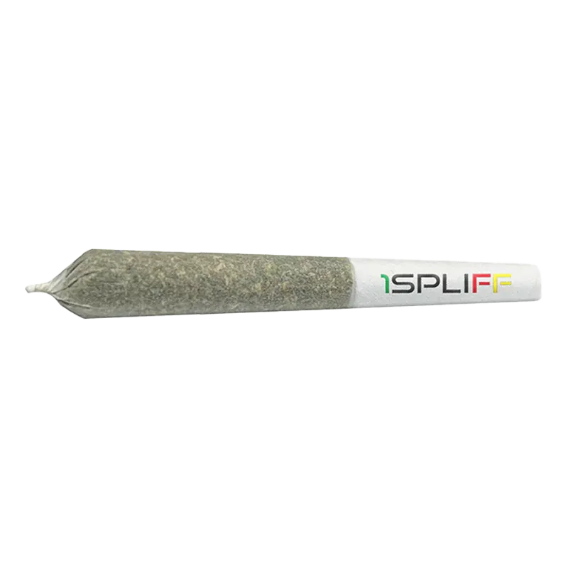 Close-up side view of a filled pre-roll on white background labeled "Hawaiian Snow Infused PR 3 x 0.5 g" with a white filter tip.
