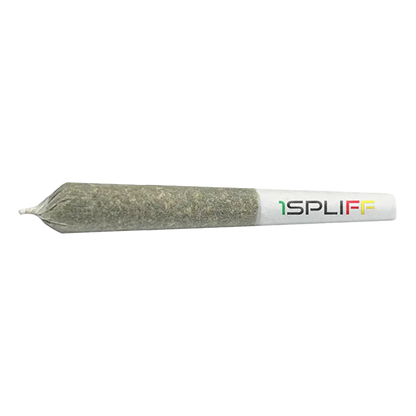 Close-up side view of a filled pre-roll on white background labeled "Hawaiian Snow Infused PR 3 x 0.5 g" with a white filter tip.