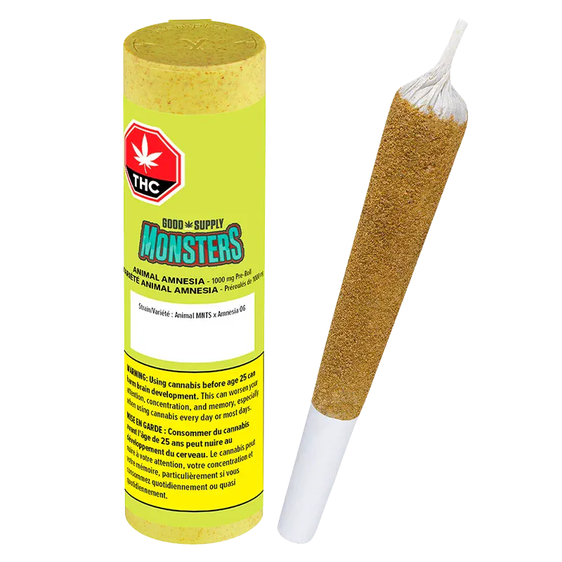 Angled view of a pre-rolled cone beside its bright yellow tube packaging labeled "Monsters Animal Amnesia Infused PR 1 x 2.38 g" on a white background.