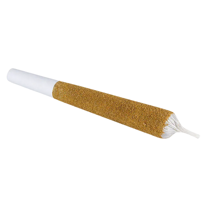 Angled close-up of a tapered, gold-tinted cone with a white filter — Monsters Animal Amnesia Infused PR 1 x 2.38 g.