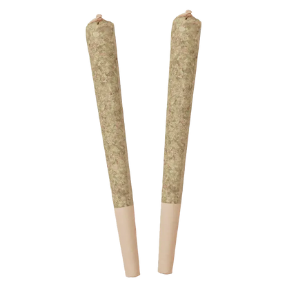 Two pre-rolled cones photographed front-on against a white background, labeled Bing Cherry Infused PR 2 x 0.5 g.