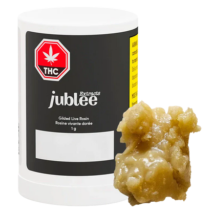 Close-up front view of a white jar labeled "jublee Extracts Gilded Live Rosin" with a 1 g notation and a golden, chunky rosin piece beside it.