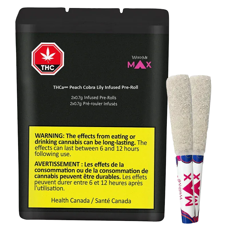 Front-facing black pouch and two sugar-coated pre-rolls standing beside it, shown with the THCa8 Peach Cobra Lily Infused PR 2 x 0.7 g branding visible.