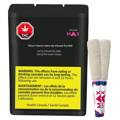 Front-facing black pouch and two sugar-coated pre-rolls standing beside it, shown with the THCa8 Peach Cobra Lily Infused PR 2 x 0.7 g branding visible.