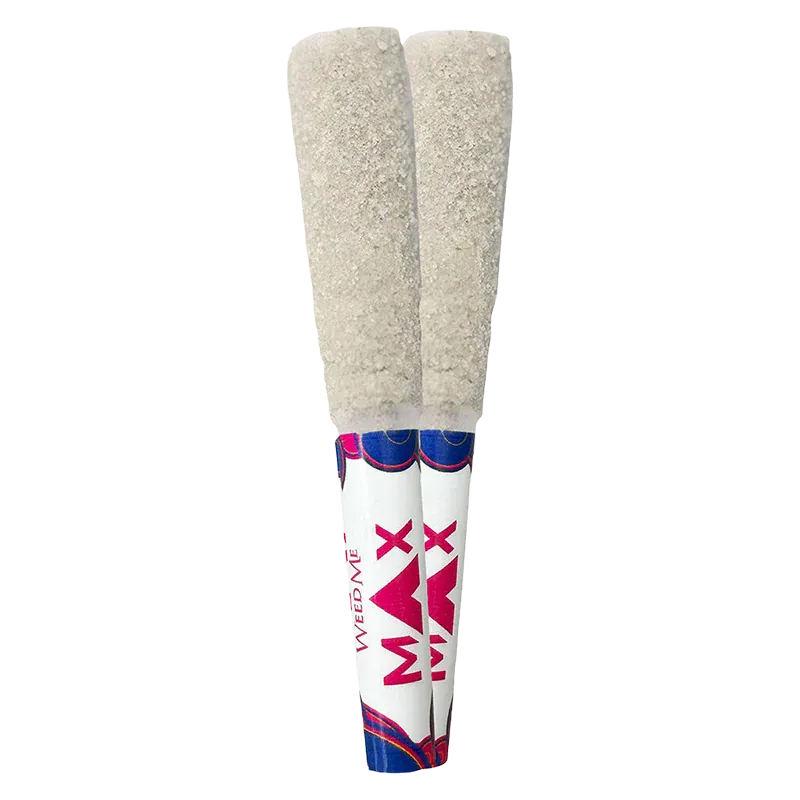 Pair of top-down view THCa8 Peach Cobra Lily Infused PR 2 x 0.7 g pre-rolls with sugar-coated beige tips and white branded tubes.