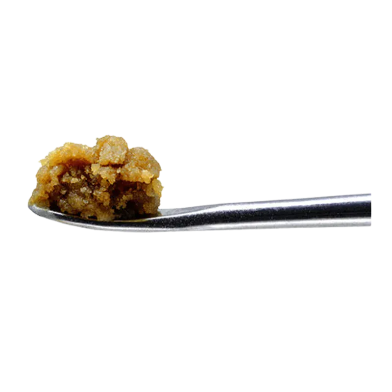 Close-up side view of a small golden crumble on a metal dab tool, Barbara Bud Cold Cured Ice Water Hash.
