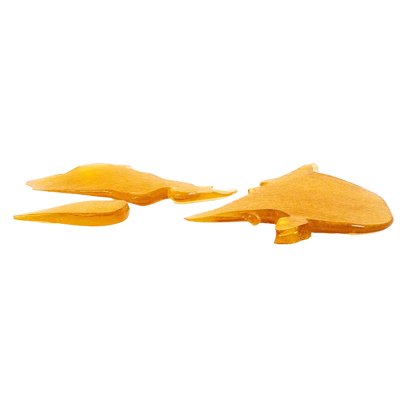 Low-angle close-up of amber-orange glass shards from House Shatter, scattered and reflecting light on a white background