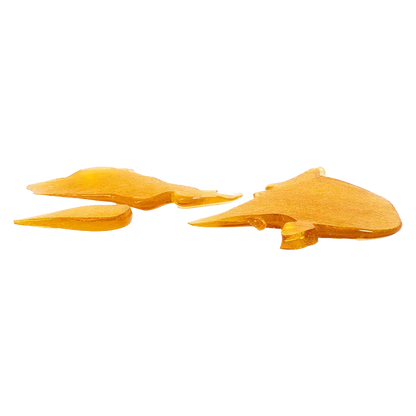 Low-angle close-up of amber-orange glass shards from House Shatter, scattered and reflecting light on a white background