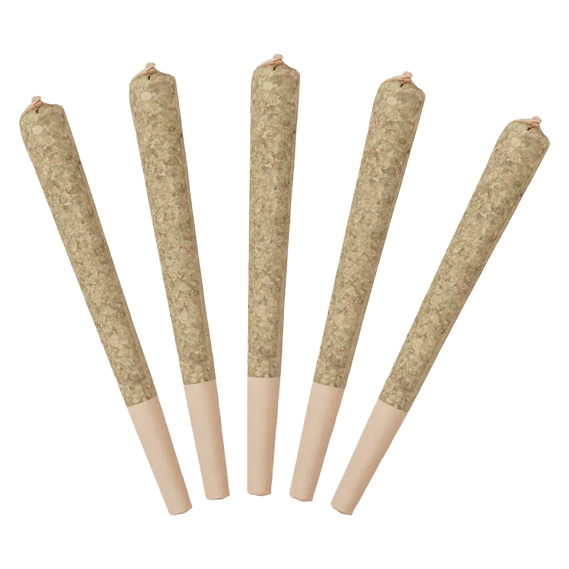 Five pre-rolled cones fanned out on a white background showing the tapered filters of Sour Raspberry Infused PR 5 x 0.5 g
