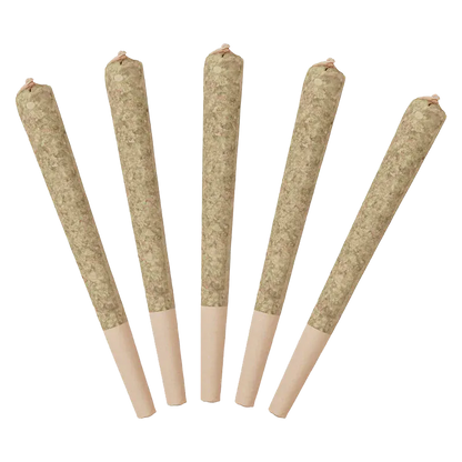 Five pre-rolled cones fanned out on a white background showing the tapered filters of Sour Raspberry Infused PR 5 x 0.5 g