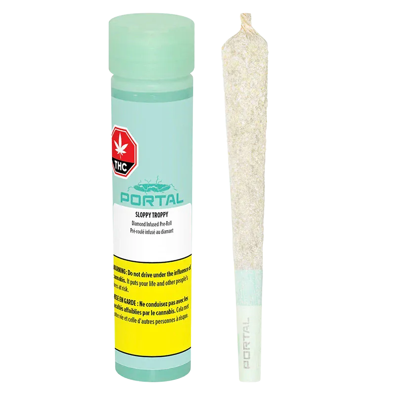 Straight-on product shot of a mint-green tube and a diamond-coated pre-roll labeled "Sloppy Troppy Diamond Infused PR 1 x 1 g" standing against a white background.