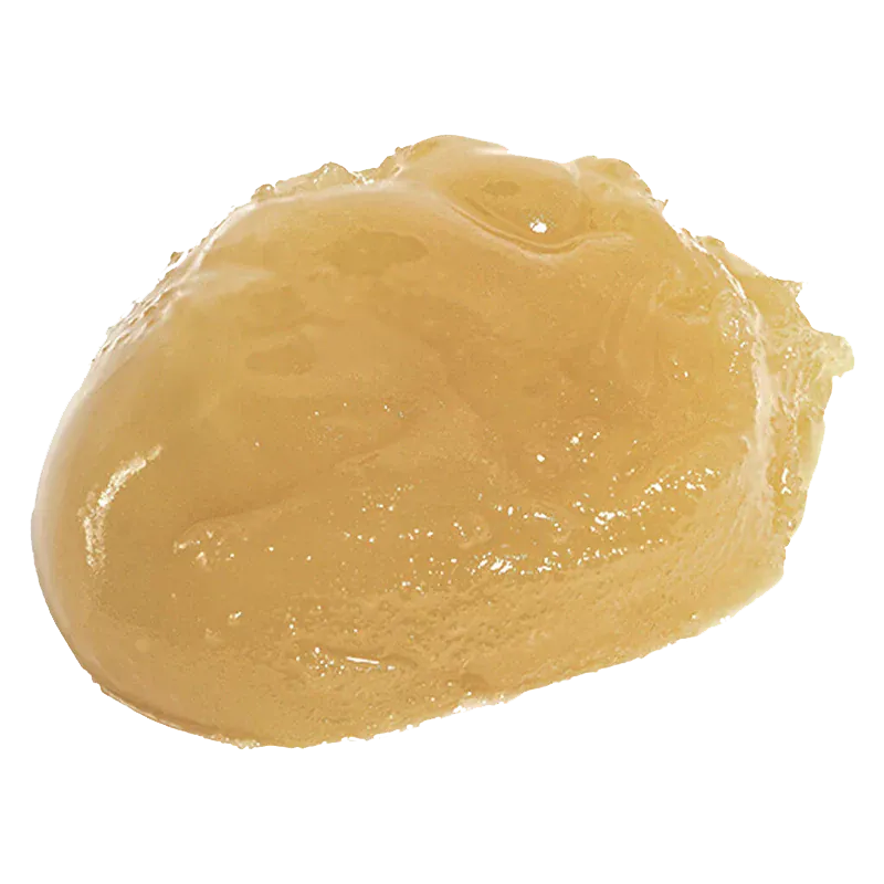Close-up of a glossy golden dab of Big Steal Live Rosin shown against a white background with soft top lighting.