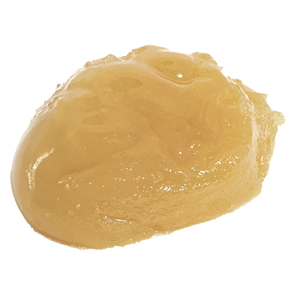 Close-up of a glossy golden dab of Big Steal Live Rosin shown against a white background with soft top lighting.