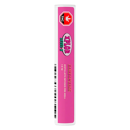 Tall vertical product shot of the Rainbow Razz Distillate Infused PR 1 x 1 g tube with bright pink label and THC stop sign near the top