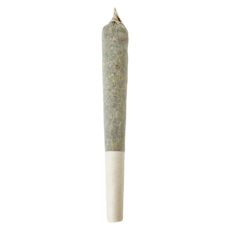 Top-down view of a single rolled joint on white background, labeled Rainbow Razz Distillate Infused PR 1 x 1 g.
