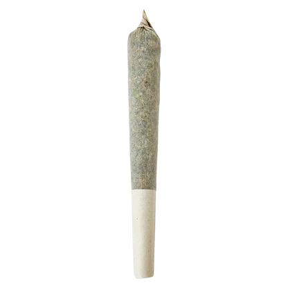 Top-down view of a single rolled joint on white background, labeled Rainbow Razz Distillate Infused PR 1 x 1 g.