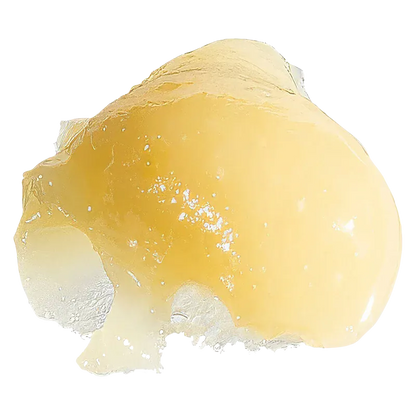 Close-up of a glossy golden dab of Gas Leak Rosin resting on a translucent, crystalline surface with bright, even lighting.