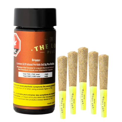 Front-facing shot of a black-capped jar and five kief-coated Lemon GLTO Infused PR 5 x 0.5 g pre-rolls, labeled Drippyz Lemon GLTO Infused PR 5 x 0.5 g.