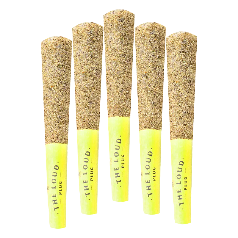Five front-facing Drippyz Lemon GLTO Infused PR 5 x 0.5 g pre-rolls with yellow tips and textured brown tops on a white background.