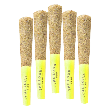 Five front-facing Drippyz Lemon GLTO Infused PR 5 x 0.5 g pre-rolls with yellow tips and textured brown tops on a white background.