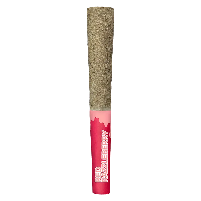 Center-aligned close-up of a pre-rolled cone with a greenish herb tip and a pink-red labeled filter reading "Red Razzleberry Ld Infused PR 5 x 0.5 g."