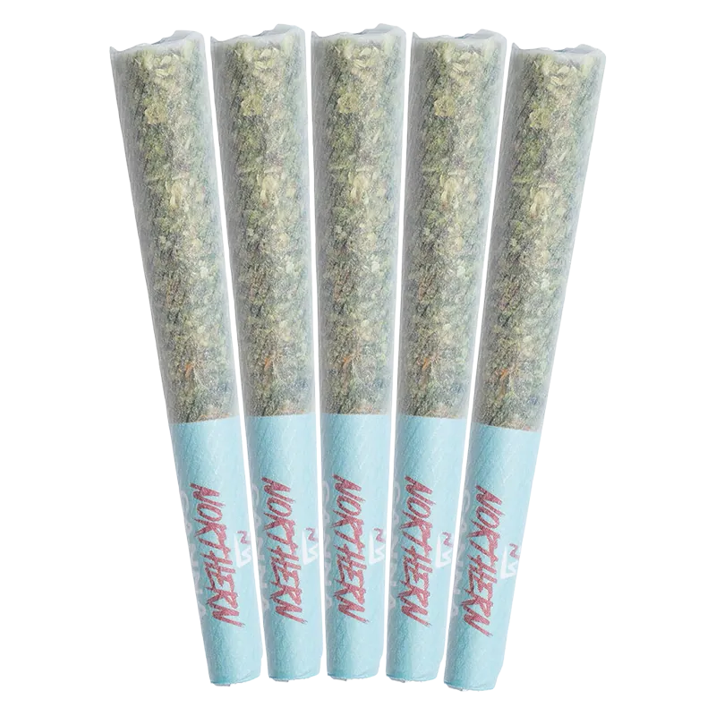Five slightly angled pre-rolls in translucent paper with pale blue tips, labeled "The Collective Infused PR 5 x 0.5 g."