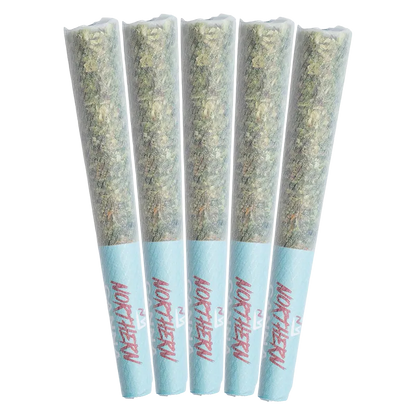 Five slightly angled pre-rolls in translucent paper with pale blue tips, labeled "The Collective Infused PR 5 x 0.5 g."
