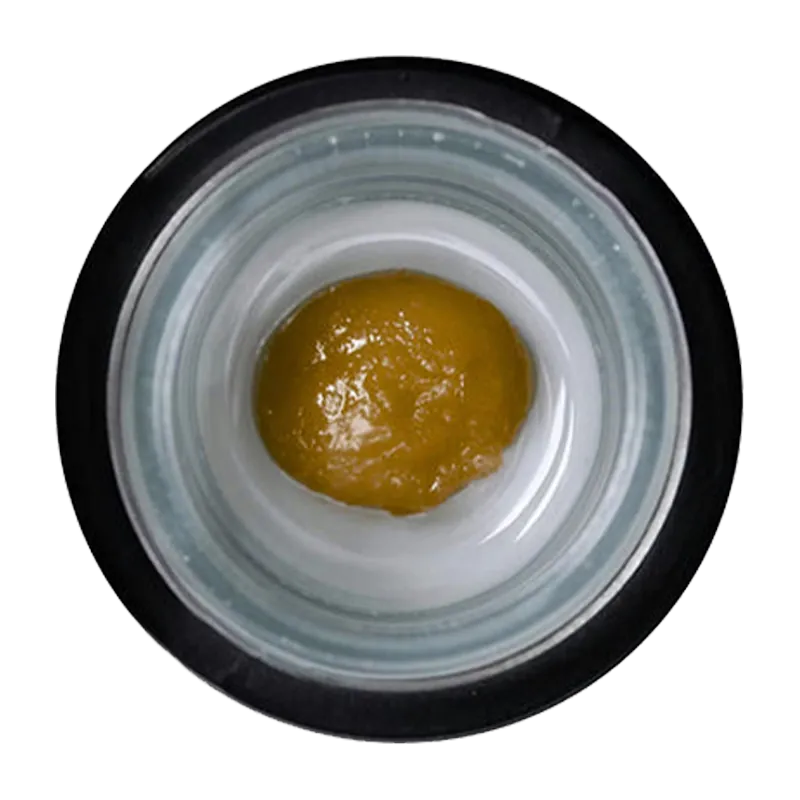 Top-down view of a glossy amber dab of Cured Rosin - Made By Vangyptian centered in a small white glass jar with a black rim.