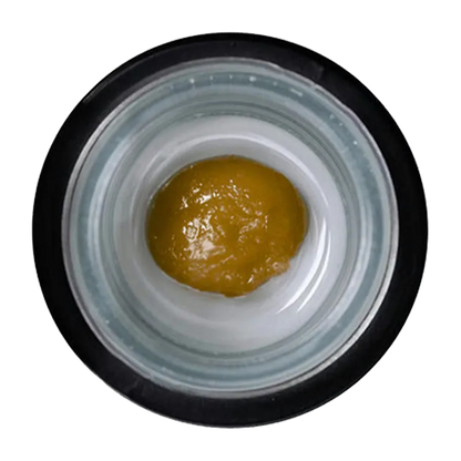 Top-down view of a glossy amber dab of Cured Rosin - Made By Vangyptian centered in a small white glass jar with a black rim.