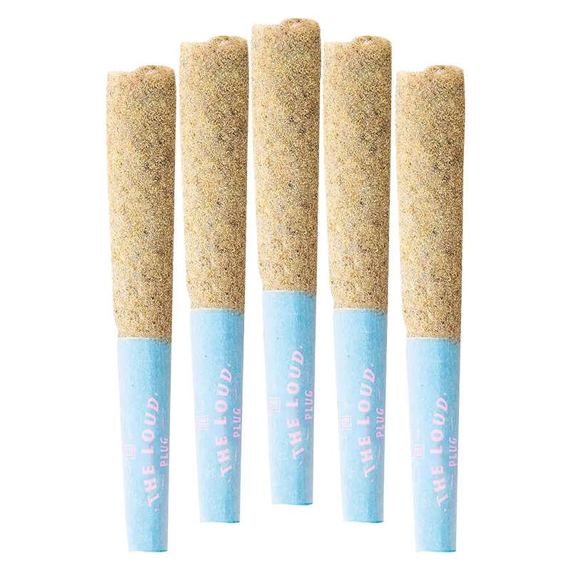 Top-down view of five Drippyz Bubba Joon Infused PR 5 x 0.5 g pre-rolls with sand-colored packed tips and pale blue branded filters.