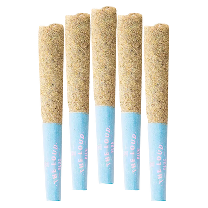 Top-down view of five Drippyz Bubba Joon Infused PR 5 x 0.5 g pre-rolls with sand-colored packed tips and pale blue branded filters.