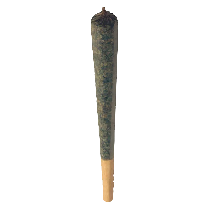 Center-aligned close-up of a single cone joint labeled Pomegranate Pop Infused PR 1 x 1 g against a white background