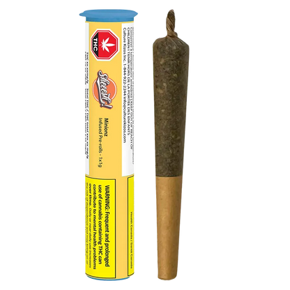 A front-facing view of the Minionz Infused PR 1 x 1 g pre-roll standing upright beside its yellow-and-white branded tube.