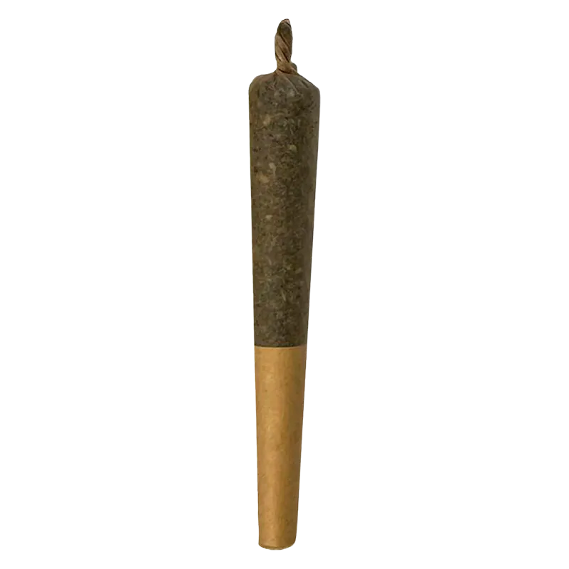 Straight-on view of a single rolled joint labeled Minionz Infused PR 1 x 1 g showing a dark, tightly packed top and a light brown twisted paper filter end