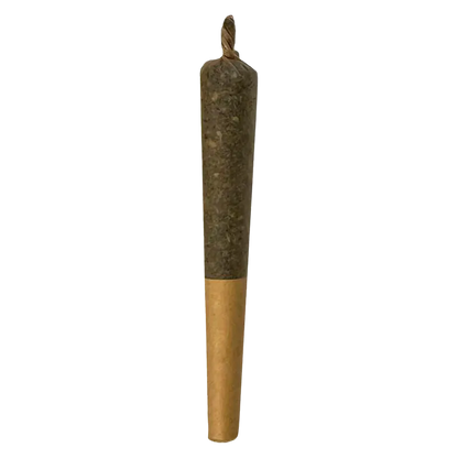 Straight-on view of a single rolled joint labeled Minionz Infused PR 1 x 1 g showing a dark, tightly packed top and a light brown twisted paper filter end
