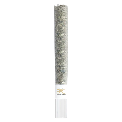 Vertical studio shot of a slim pre-roll in a clear tube labeled Black Cheese Rosin Donut Glass Tip Infused PR 1 x 1 g, set against a white background.
