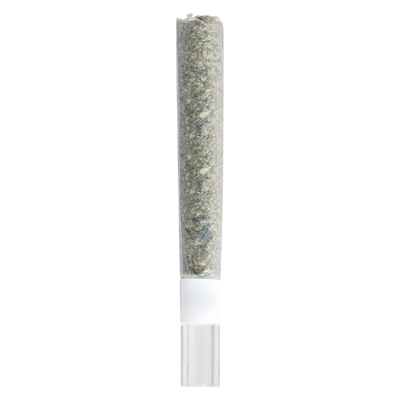 Straight-on view of a single Rosin Roll Glass Tip Infused PR 1 x 2 g pre-roll with visible translucent glass tip and packed herb against a white background