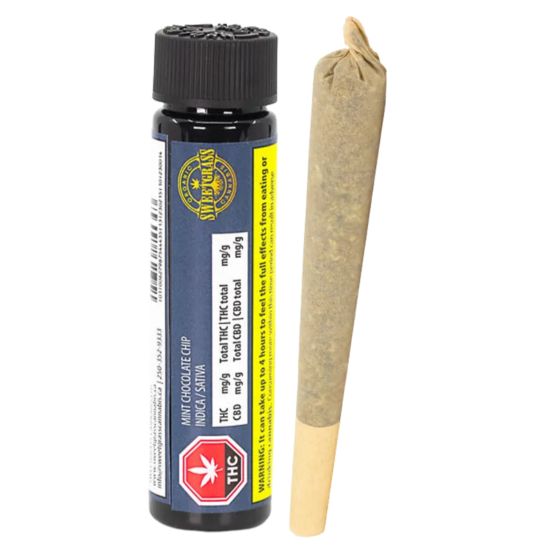 Studio-lit vertical shot of a labeled black tube and a rolled joint for Organic Mint Chocolate Chip Hash Infused PR 1 x 1 g.