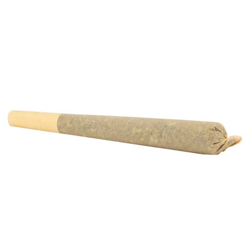 Diagonal close-up of an Organic Mint Chocolate Chip Hash Infused PR 1 x 1 g pre-roll resting on a white background, showing its twisted tip and beige paper filter.