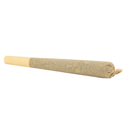 Diagonal close-up of an Organic Mint Chocolate Chip Hash Infused PR 1 x 1 g pre-roll resting on a white background, showing its twisted tip and beige paper filter.