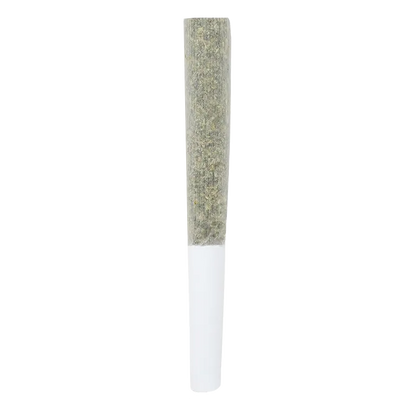 Snicklefritz 3 g Citrus Punch Shatter Infused PR 5 x 0.5 g Pre-Rolls